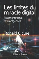 Les limites du miracle digital
