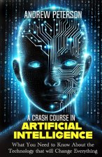 A Crash Course in Artificial Intelligence