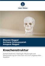 Knochenstruktur