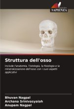 Struttura dell'osso