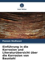 Einführung in die Korrosion und Literaturübersicht über die Korrosion von Baustahl