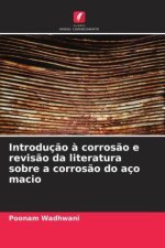 Introdução à corrosão e revisão da literatura sobre a corrosão do aço macio