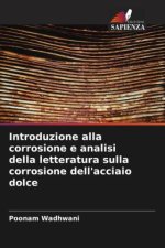 Introduzione alla corrosione e analisi della letteratura sulla corrosione dell'acciaio dolce