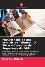 Manutenção da paz através do Tribunal: O TPI e o Conselho de Segurança da ONU
