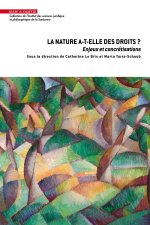 La nature a-t-elle des droits ? Enjeux et concrétisations