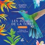 ORACLE Les Joyaux de la Terre