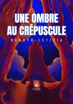 Une ombre au crépuscule