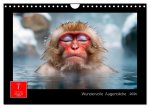 Wundervolle Augenblicke (Wandkalender 2026 DIN A4 quer), CALVENDO Monatskalender