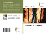 Les larmes de la flamme