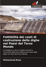 Fattibilità dei costi di costruzione delle dighe nei Paesi del Terzo Mondo