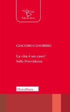 vita è un caso? Sulla Provvidenza