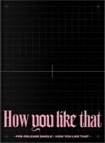 BLACKPINK  HOW YOU LIKE THAT -SPEC- / INCL. 132PG. PHOTOBOOK & POSTCARD/POLAROID