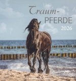 Traumpferde 2026 - Postkartenkalender 16x17 cm - Horses - zum Aufstellen oder Aufhängen - Monatskalendarium - Gadget - Mitbringsel - Alpha Edition