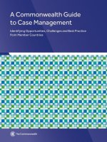 A Commonwealth Guide to Case Management