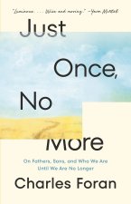 JUST ONCE NO MORE