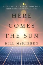Here Comes the Sun