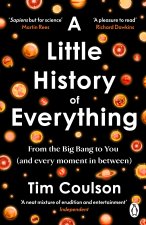 Little History of Everything