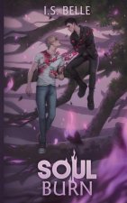 Soul Burn (Blood Tethered #3, PAPERBACK)