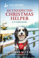 An Unexpected Christmas Helper