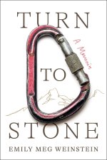 Turn to Stone