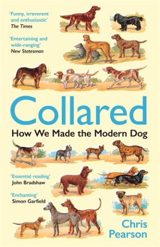 Collared