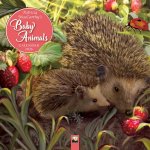 Patricia Maccarthy's Beautiful Babies Wall Calendar 2026 (Art Calendar)