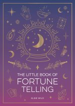 Little Book of Fortune Telling