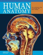 Human Anatomy
