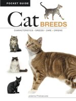 Cat Breeds