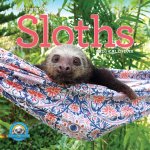 CAL 26 ORIGINAL SLOTHS