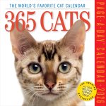 CAL 26 365 CATS