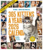 CAL 26 365 KITTENS A YEAR