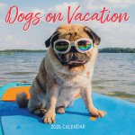 CAL 26 DOGS ON VACATION