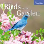 CAL 26 AUDUBON BIRDS IN THE GARDEN