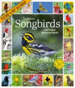 CAL 26 AUDUBON SONGBIRDS BACKYARD BIRDS