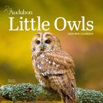 CAL 26 AUDUBON LITTLE OWLS