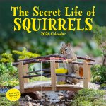 CAL 26 SECRET LIFE OF SQUIRRELS