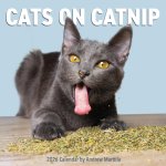 CAL 26 CATS ON CATNIP