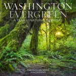 CAL 26 WASHINGTON EVERGREEN