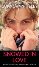 Snowed In Love