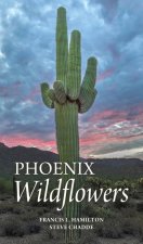 Phoenix Wildflowers
