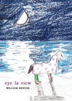 eye la view
