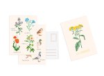 Set de 10 cartes Zoé