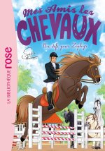 Mes amis les chevaux 49
