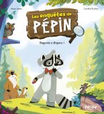 Les enquêtes de Pépin
