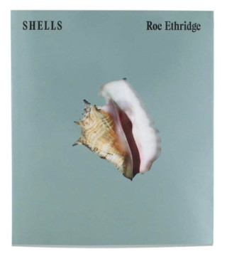 SHELLS