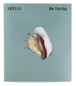 SHELLS