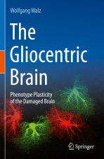 The Gliocentric Brain