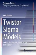 Twistor Sigma Models