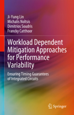 Workload Dependent Mitigation Approaches for Performance Variability